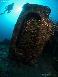 Glassfish on the Kuda Giri wreck. Canon G10. by Bea & Stef Primatesta 